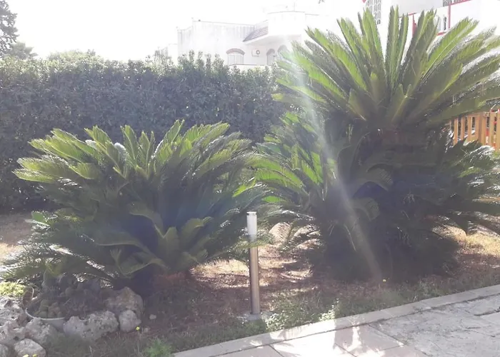 戴马尔住宿加早餐旅馆 住宿加早餐酒店